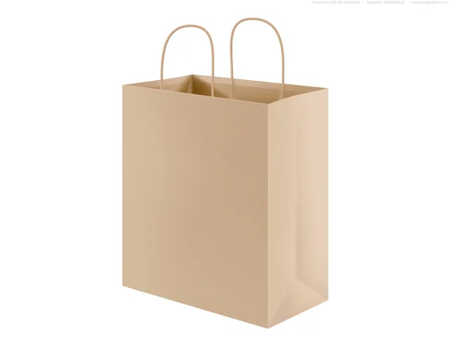 Paper Shopping Bag